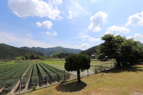 ビレッジハウス山南1号棟 (105号室)の物件内観写真